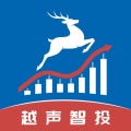 越声智投