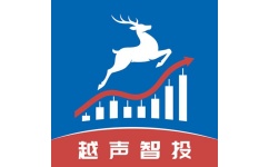 越声智投