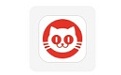 猫眼