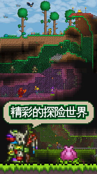 泰拉瑞亚1.3国际版截图
