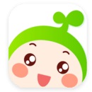 小豆苗