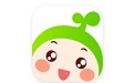 小豆苗