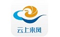 云上来凤