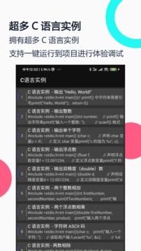 C语言编译器IDE截图