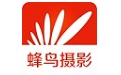 蜂鸟摄影