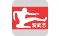 爱武艺