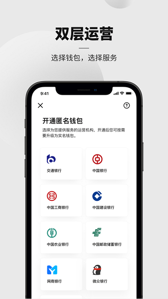 数字人民币(试点版)截图