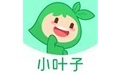 小叶子智能陪练