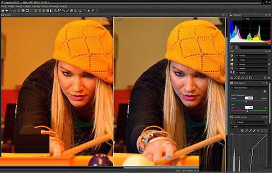 尼康捕影工匠截图