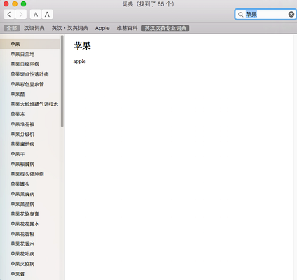 英汉汉英词典截图