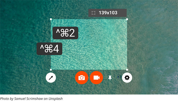 Zappy截图