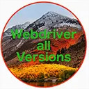 Webdriver All Versions