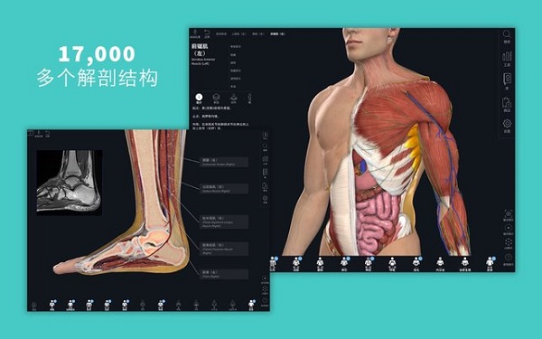 Complete Anatomy截图