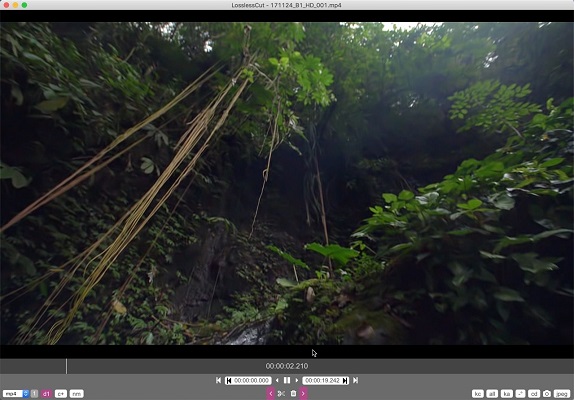 LosslessCut截图