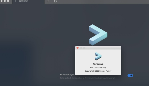 Terminus截图