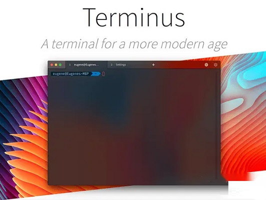 Terminus截图