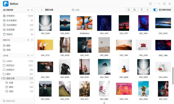 Billfish截图
