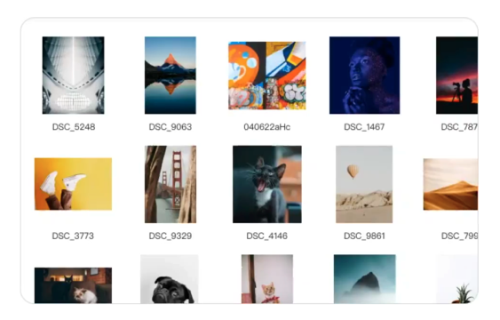Billfish截图