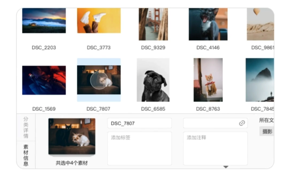 Billfish截图