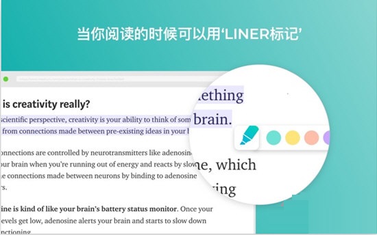 LINER截图