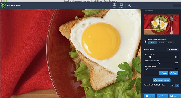 Topaz Denoise AI截图