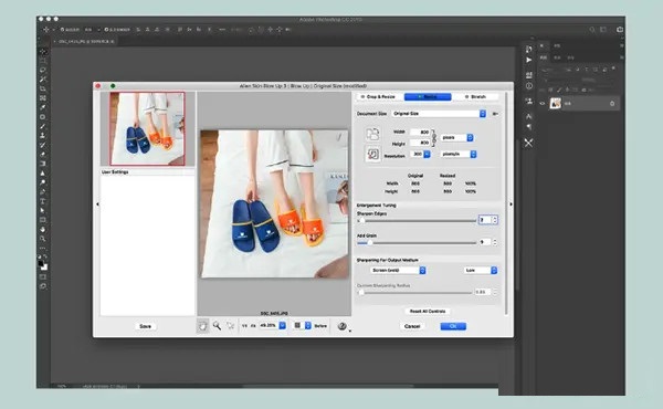 Alien Skin Blow Up截图