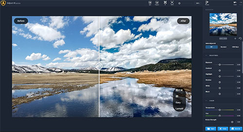 Topaz Adjust AI截图