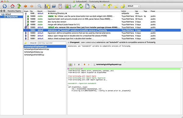 TortoiseHg截图