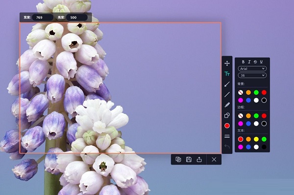 Movavi Screen Recorder截图