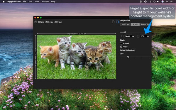 Bigger Picture截图