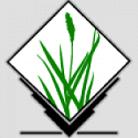 Grass GIS