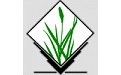Grass GIS