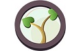 My Family Tree