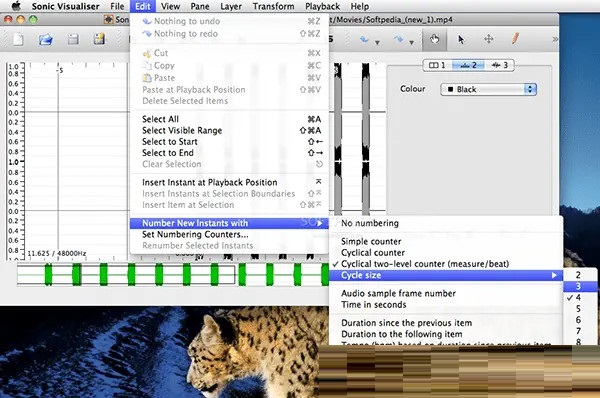 Sonic Visualiser截图