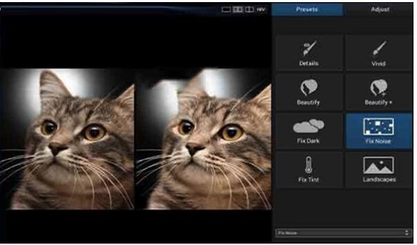 Perfectly Clear截图