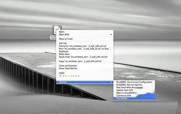 HashTab截图