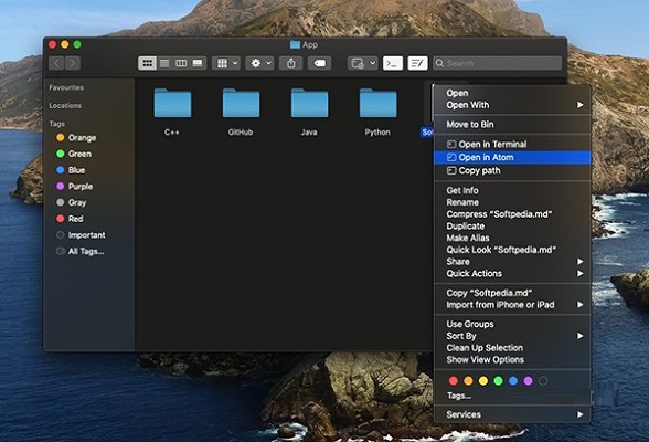OpenInTerminal截图