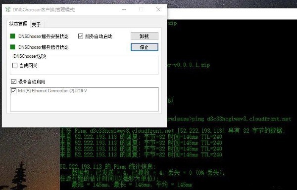 DNS Chooser截图
