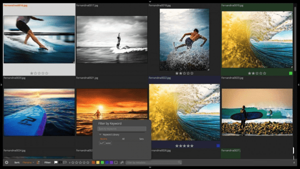 Alien Skin Exposure X3截图
