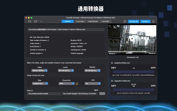 VideoZ截图