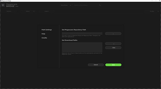 Megascans Bridge截图