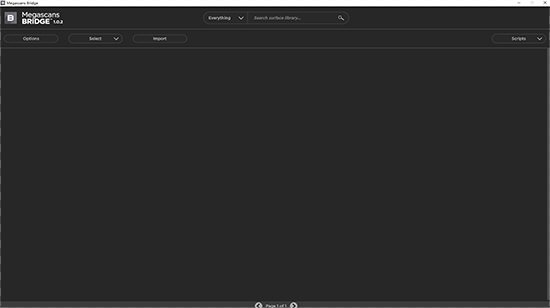 Megascans Bridge截图