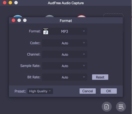 AudFree Audio Capture截图