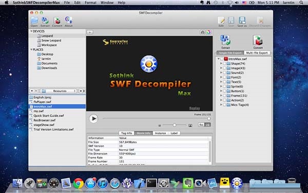 Sothink SWF Decompiler截图