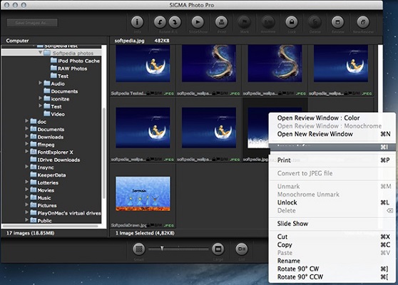 Sigma Photo Pro截图