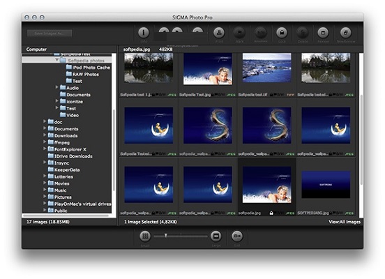 Sigma Photo Pro截图
