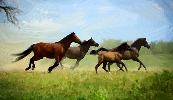 AKVIS OilPaint截图