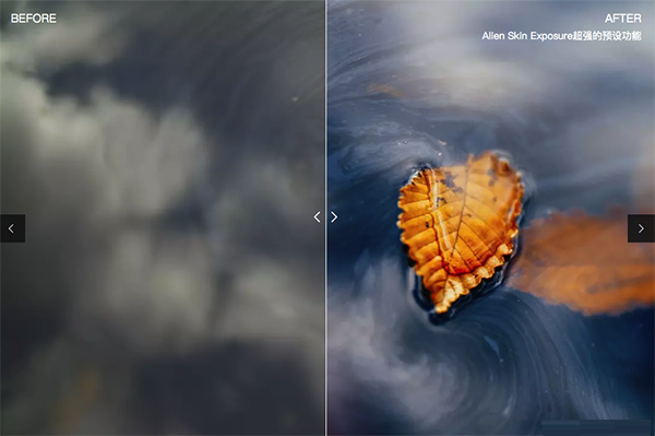 Alien Skin Exposure X5截图