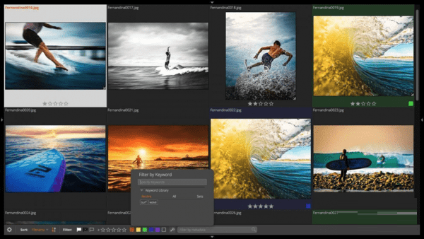 Alien Skin Exposure X2截图