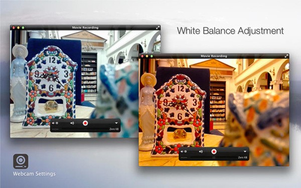Webcam Settings截图